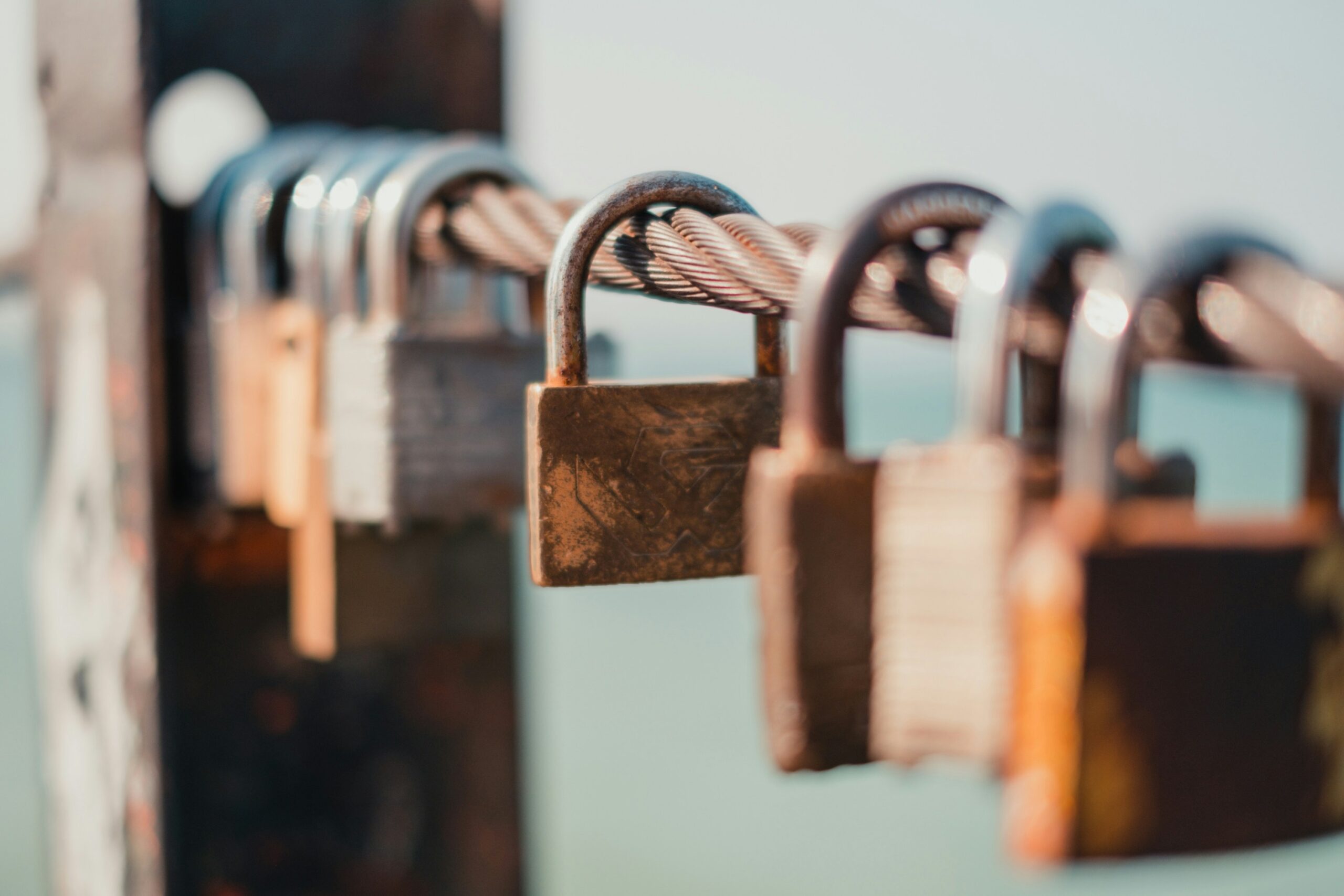 isaac-iverson-roffILQTPZs-unsplash